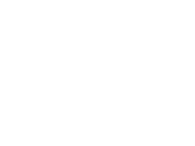African dwarf crocodile next to an average American bed